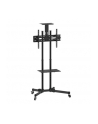techly Mobilny stojak do tv 37-70 cali 50kg, dwie półki - nr 19