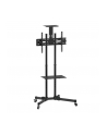 techly Mobilny stojak do tv 37-70 cali 50kg, dwie półki - nr 29