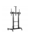 techly Mobilny stojak do tv 60-100 cali 100kg lub tablicy interaktywnej - nr 27