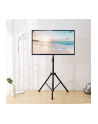 techly Stojak podłogowy do tv 17-60cali 35kg, przenośny - nr 24