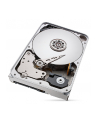 seagate Dysk IronWolfPro12TB 3.5'' 256MB ST12000NT001 - nr 12