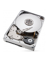 seagate Dysk IronWolfPro12TB 3.5'' 256MB ST12000NT001 - nr 31