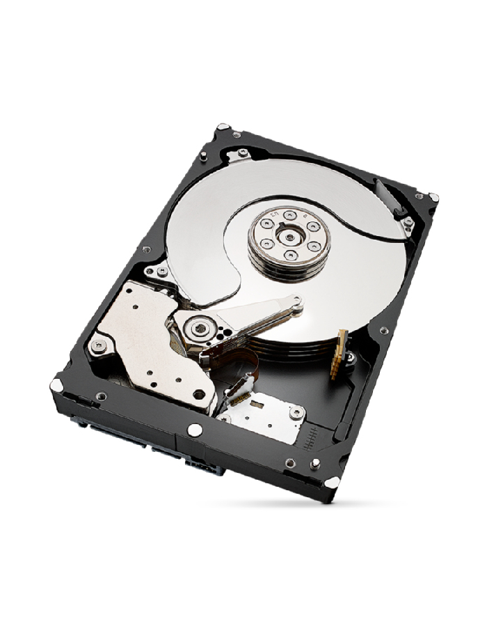 seagate Dysk IronWolfPro 6TB 3.5' 256MB ST6000NT001 główny