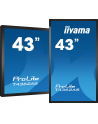 IIYAMA T4362AS-B1 4k UHD LCD 43inch 20 Points PCAP 500cd/m2 1200:1 3840x2160 AG RS232C 16GB eMMC 2GB RAM - nr 26