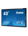 IIYAMA T4362AS-B1 4k UHD LCD 43inch 20 Points PCAP 500cd/m2 1200:1 3840x2160 AG RS232C 16GB eMMC 2GB RAM - nr 39