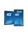 IIYAMA T4362AS-B1 4k UHD LCD 43inch 20 Points PCAP 500cd/m2 1200:1 3840x2160 AG RS232C 16GB eMMC 2GB RAM - nr 95