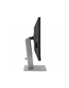 ASUS ProArt PA248CNV 24.1inch 16:10 IPS 1920x1200 Pivot Calman HDR 10DP HDMI 90W USBC USB Hub RJ45 - nr 59