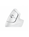 LOGITECH Lift for Mac Vertical Ergonomic Mouse - OFF-WHITE/PALE GREY - EMEA - nr 13