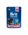 Brit Premium By Nature White Fish Kitten 100g - nr 2