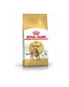 ROYAL CANIN Bengal Adult 2kg - nr 4