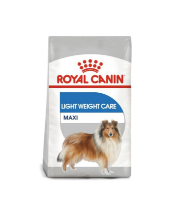 Royal Canin CCN Maxi Digestive Care 12kg