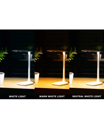 MONTIS MT042 LAMPKA BIURKOWA LED BIAŁA 230V + USB