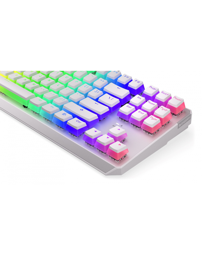 Klawiatura gamingowa ENDORFY Thock TKL OWH PKailh RD RGB główny