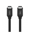 belkin Kabel USB4 USB-C/USB-C 100W Power Delivery 0.8m - nr 12