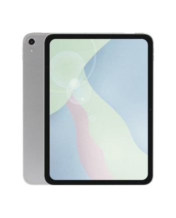 apple iPad 10.9 cala Wi-Fi 256GB Srebrny