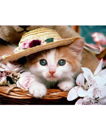 ju-piter Diamentowy obraz Kot w kapeluszu