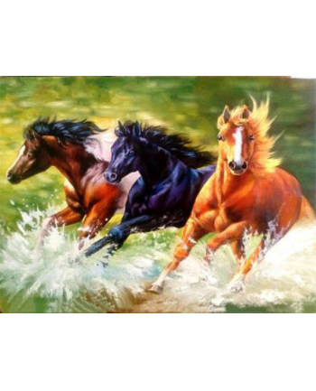 ju-piter Diamentowy obraz Galopujące konie