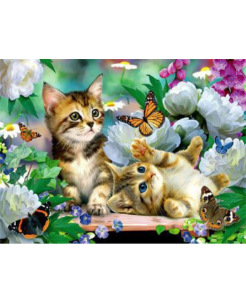 ju-piter Diamentowy obraz Bawiące się kotki