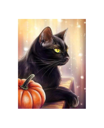 ju-piter Diamentowy obraz Czarny kot