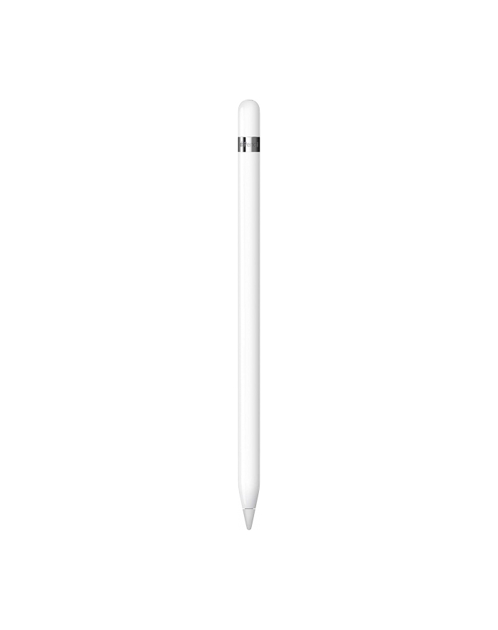 Apple Pencil 1. generacji   USB-C Adapter MQLY3ZM/A (MQLY3ZMA) główny