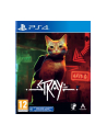 koch Gra PlayStation 4 Stray - nr 19