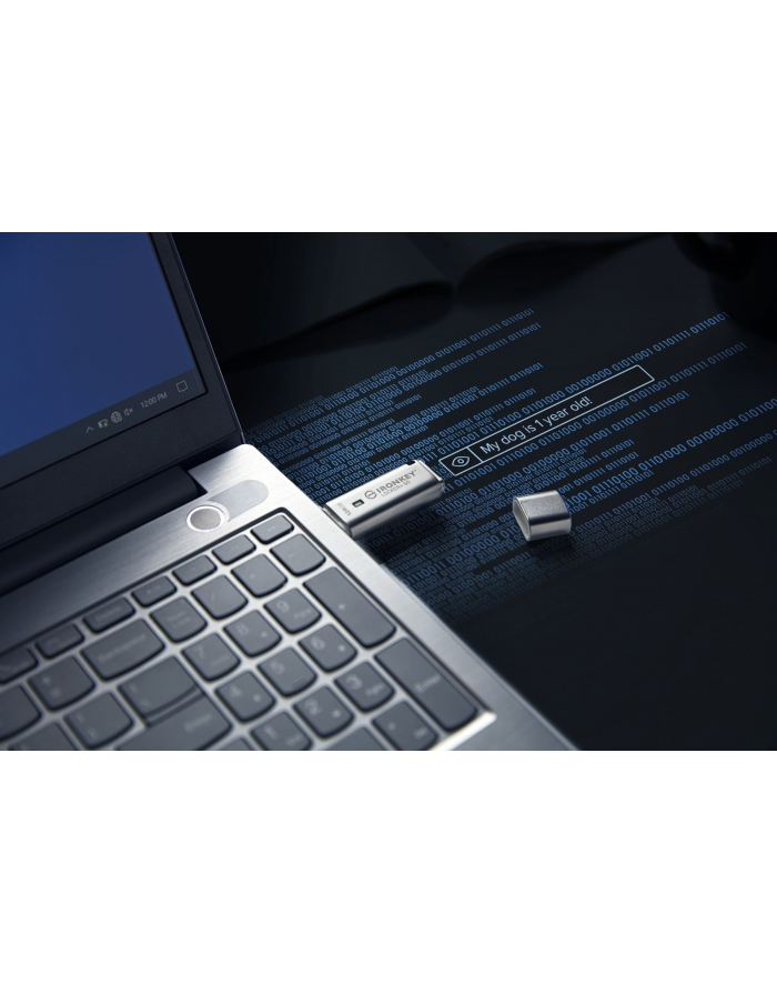 kingston Pendrive 128GB IronKey Locker+50 AES Encrypted USB to Cloud główny
