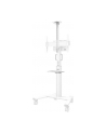 NEOMOUNTS BY NEWSTAR AFLS-825WH1 Floor Accessory White - nr 54