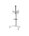 NEOMOUNTS BY NEWSTAR AFLS-825BL1 Floor Accessory Black - nr 39