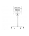 NEOMOUNTS BY NEWSTAR FL50S-825WH1 Floor Stand White - nr 52