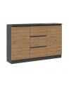 top e shop Komoda 2D3S 120x30xH75 antracyt/artisan - nr 1