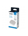 WiZ Portable Button single pack, LED light - nr 25