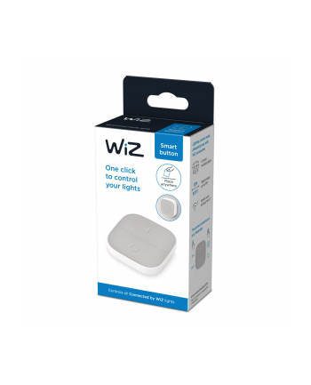 WiZ Portable Button single pack, LED light