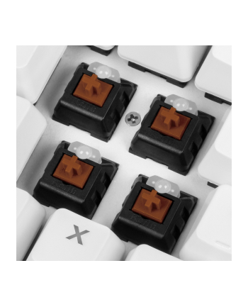 D-E layout - Sharkoon SKILLER SGK3 White, gaming keyboard (Kolor: BIAŁY, Kailh Brown)