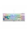 D-E layout - Sharkoon SKILLER SGK3 White, gaming keyboard (Kolor: BIAŁY, Kailh Brown) - nr 4