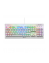 D-E layout - Sharkoon SKILLER SGK3 White, gaming keyboard (Kolor: BIAŁY, Kailh Blue) - nr 1