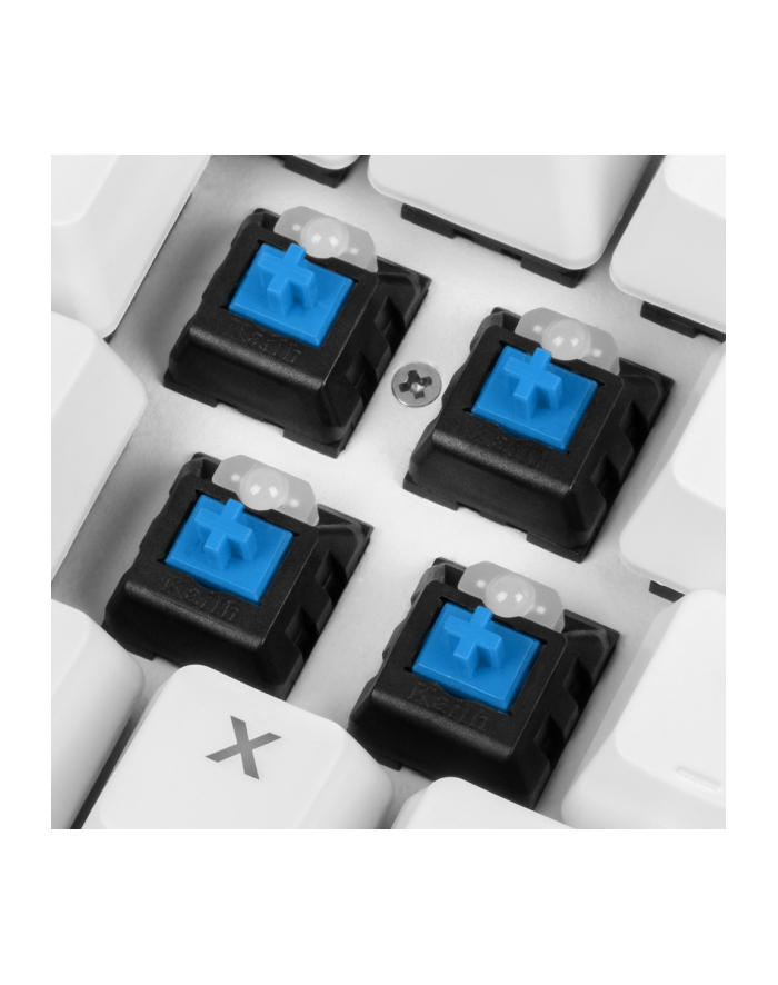 D-E layout - Sharkoon SKILLER SGK3 White, gaming keyboard (Kolor: BIAŁY, Kailh Blue) główny