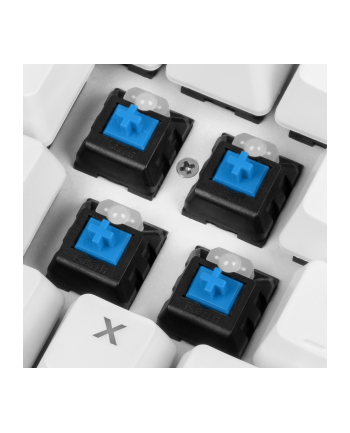 D-E layout - Sharkoon SKILLER SGK3 White, gaming keyboard (Kolor: BIAŁY, Kailh Blue)