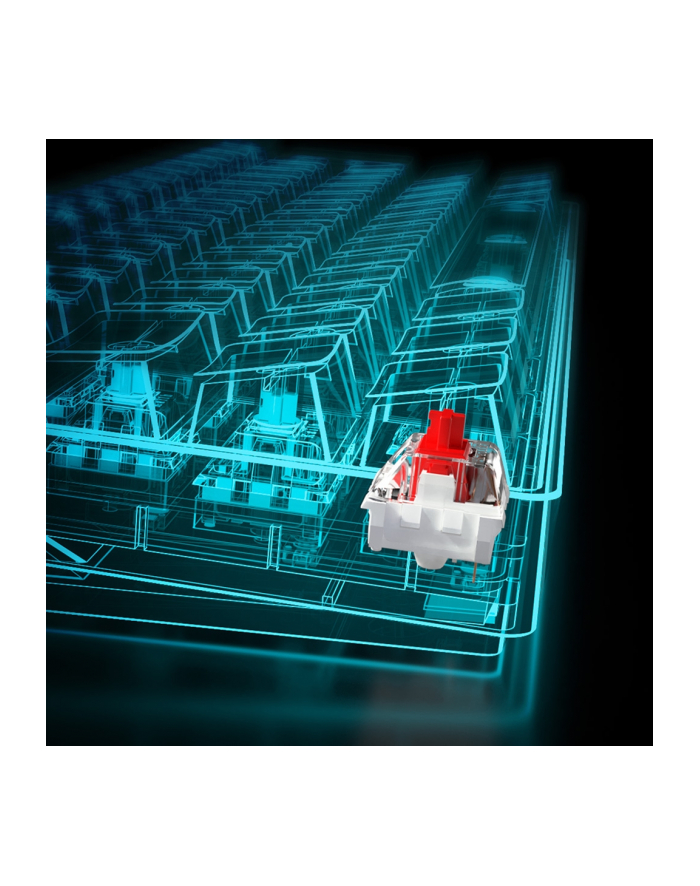 D-E layout - Sharkoon SKILLER SGK50 S4, gaming keyboard (Kolor: CZARNY, Kailh Red) główny