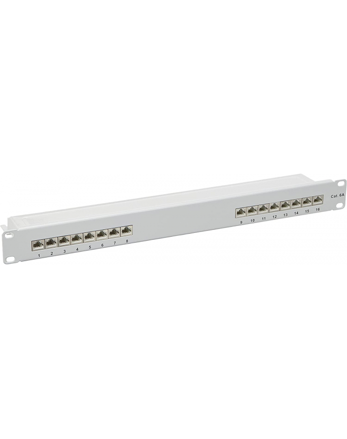 DeLOCK 19  patch panel 16 port Cat.6A (grey, 1 U) główny