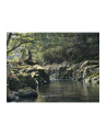 Panasonic Lumix DC-GH6, digital camera (Kolor: CZARNY, without lens) - nr 12