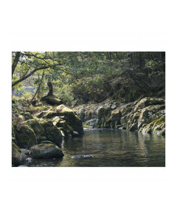 Panasonic Lumix DC-GH6, digital camera (Kolor: CZARNY, without lens)