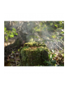 Panasonic Lumix DC-GH6, digital camera (Kolor: CZARNY, without lens) - nr 13