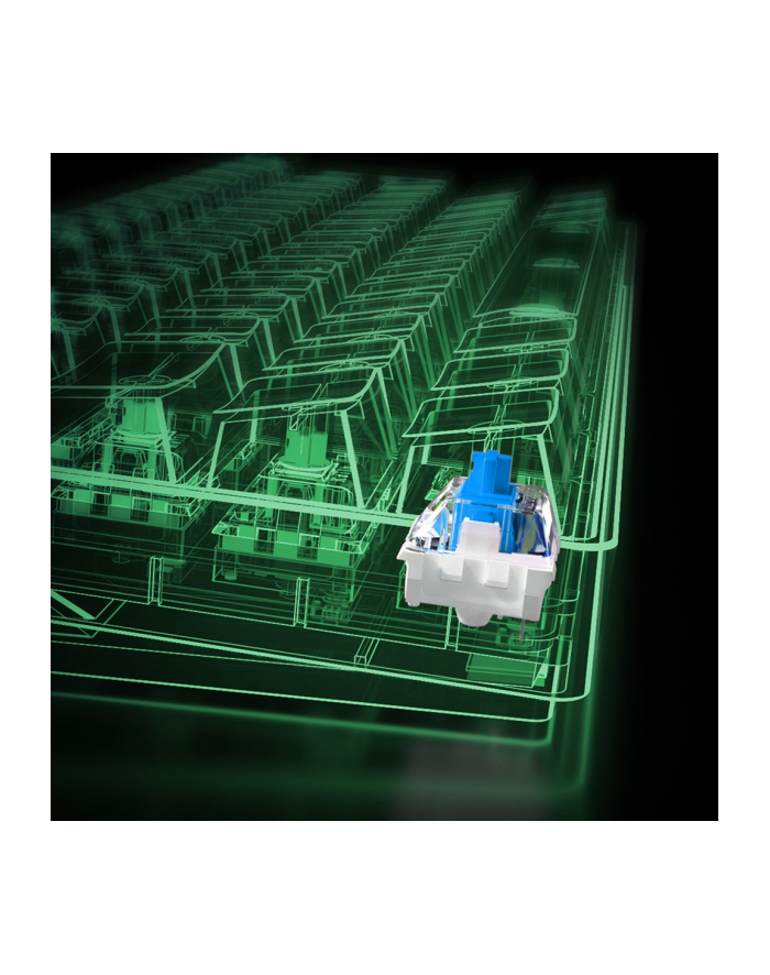 D-E layout - Sharkoon SKILLER SGK50 S4, gaming keyboard (Kolor: BIAŁY/Kolor: CZARNY, Kailh Blue) główny
