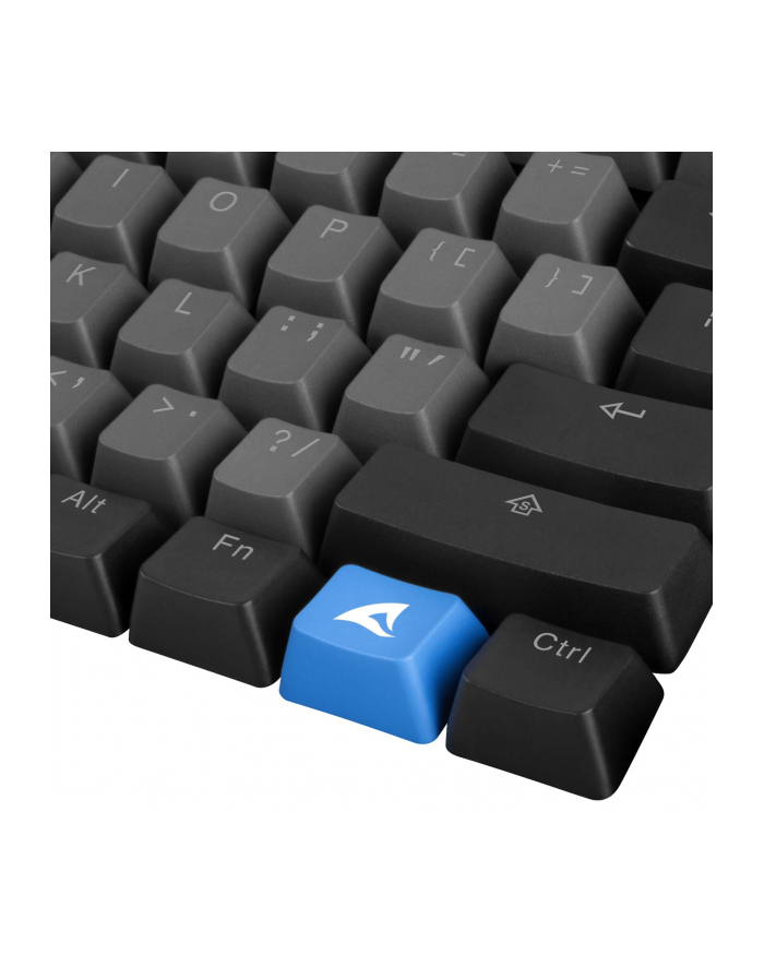 Sharkoon SKILLER SAC20 S4, keycap (Kolor: CZARNY, 62 pieces, ANSI layout (US), for SKILLER SGK50 S4) główny