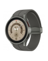 SAMSUNG Galaxy Watch5 Pro (R920), Smartwatch (titanium, 45 mm) - nr 14