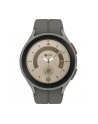 SAMSUNG Galaxy Watch5 Pro (R920), Smartwatch (titanium, 45 mm) - nr 15