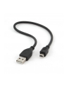 KABEL USB-MINI (CANON) 0.3M AM - BM - nr 2