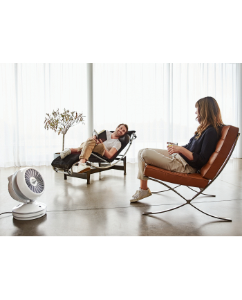 Rowenta 2in1 Air Force Intense HQ 7152, fan heater (Kolor: BIAŁY/silver, pedestal fan, fan heater)