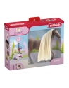 Schleich Horse Club Sofia's Beauties Leo ' Rocky Starter Set, play figure - nr 17