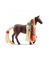 Schleich Horse Club Sofia's Beauties Leo ' Rocky Starter Set, play figure - nr 22